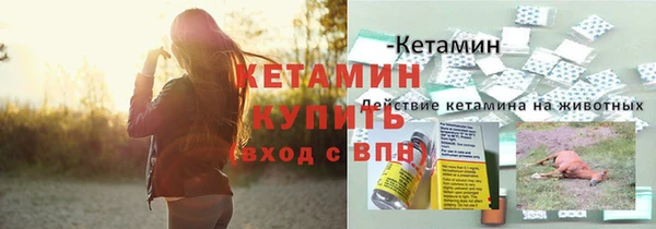 винт Вяземский