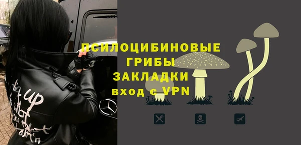 винт Вяземский
