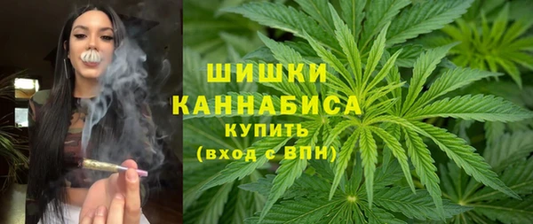 винт Вяземский