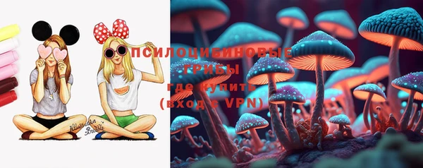 винт Вяземский