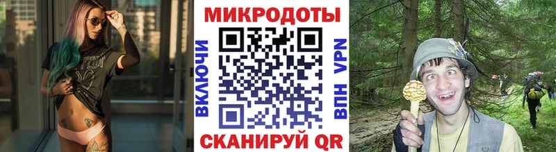 закладки  Артём  Галлюциногенные грибы GOLDEN TEACHER 